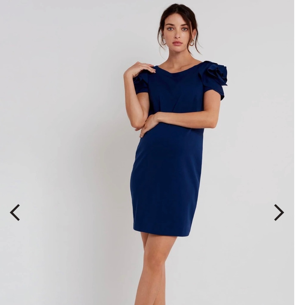 Pietro Brunelli Maternity Dress